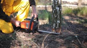 Best Commercial Tree Services  in Barker Heights, NC