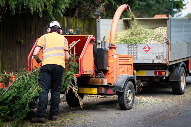 Best Grass Overseeding  in Barker Heights, NC